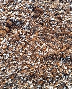 Sustrato para carnívoras 5L - Carniseeds 2