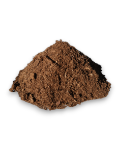 Turba Rubia - Carniseeds