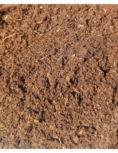 Turba Rubia - Carniseeds