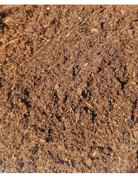 Turba Rubia - Carniseeds