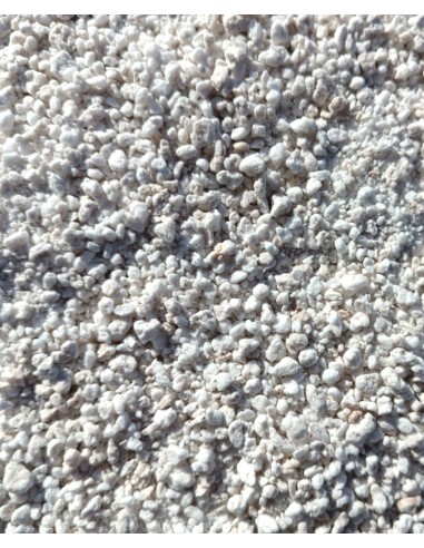 Perlita | Sustratos | CarniSeeds