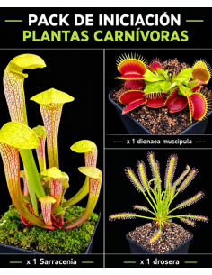 Pack de Iniciación a las Plantas Carnívoras | CarniSeeds